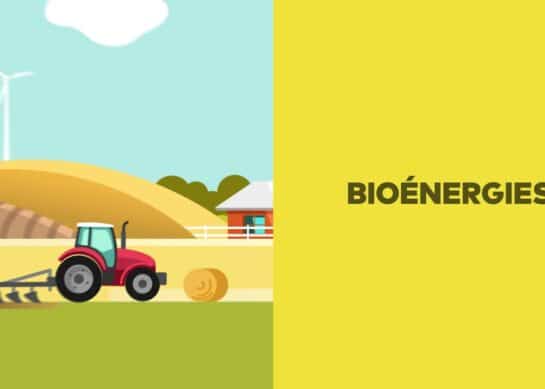 La Bioénergie : Un Chemin Vers l’Harmonie Intérieure